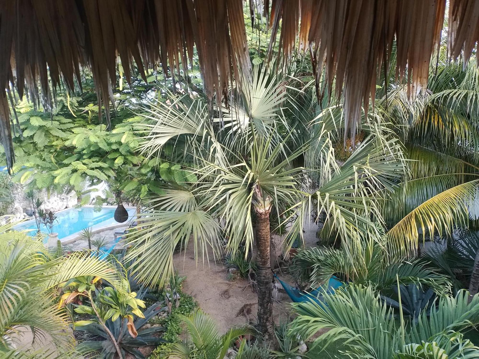 Zamunda Garden View Locanda Tulum